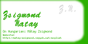 zsigmond matay business card