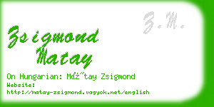 zsigmond matay business card